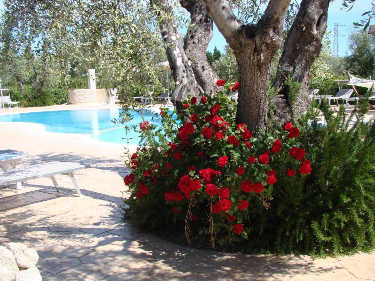 Agriturismo I Tesori del Sud Guest House Vieste Extérieur photo